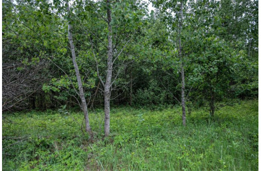 LOT 4 17th St, Necedah, WI 54646