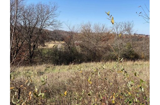 .97 ACRES E Lake Rd, Mineral Point, WI 53565