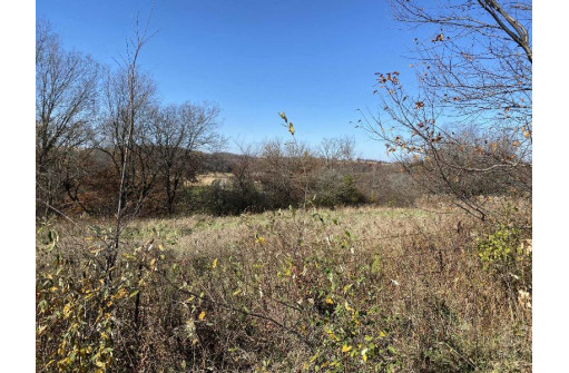 .97 ACRES E Lake Rd, Mineral Point, WI 53565