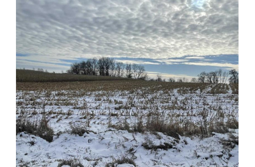 36.48 +/- ACRES Norway Ave/County Road W, Kendall, WI 54638