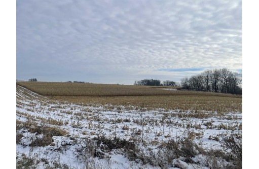 36.48 +/- ACRES Norway Ave/County Road W, Kendall, WI 54638