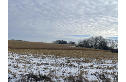 36.48 +/- ACRES Norway Ave/County Road W, Kendall, WI 54638