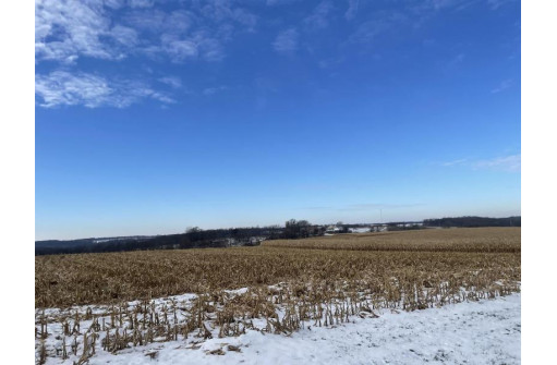 36.48 +/- ACRES Norway Ave/County Road W, Kendall, WI 54638