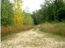 LOT Battle Ave, De Soto, WI 54624