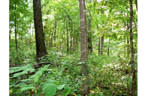 LOT Battle Ave, De Soto, WI 54624