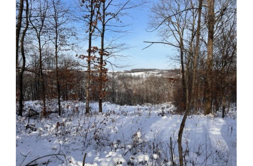 LOT Battle Ave, De Soto, WI 54624