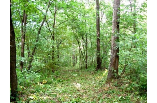 LOT Battle Ave, De Soto, WI 54624