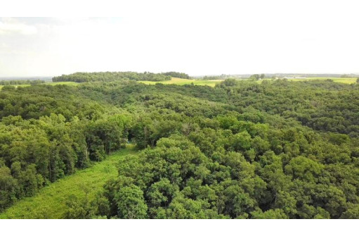 LOT Battle Ave, De Soto, WI 54624