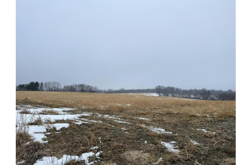 40.82 ACRES Hickory Ave, Tomah, WI 54660