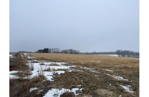 40.82 ACRES Hickory Ave, Tomah, WI 54660