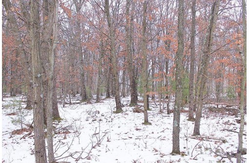 16.6 ACRES Deer Run, Montello, WI 53949-0000