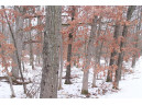 16.6 ACRES Deer Run, Montello, WI 53949-0000