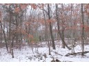 16.6 ACRES Deer Run, Montello, WI 53949-0000