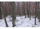 16.6 ACRES Deer Run, Montello, WI 53949-0000