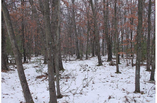 16.6 ACRES Deer Run, Montello, WI 53949-0000