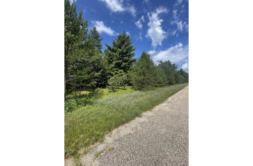 LOT 1 Hwy 80, Necedah, WI 54646