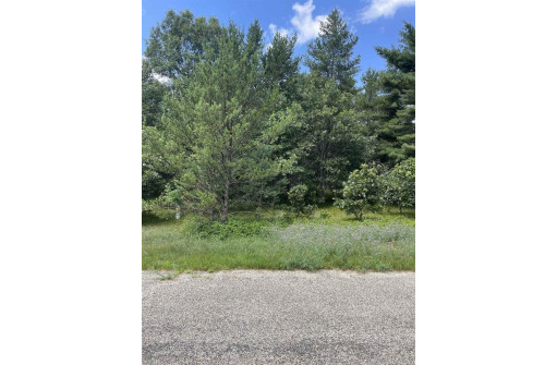 LOT 1 Hwy 80, Necedah, WI 54646