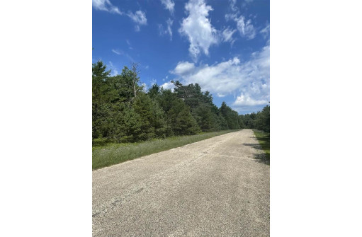 LOT 1 Hwy 80, Necedah, WI 54646