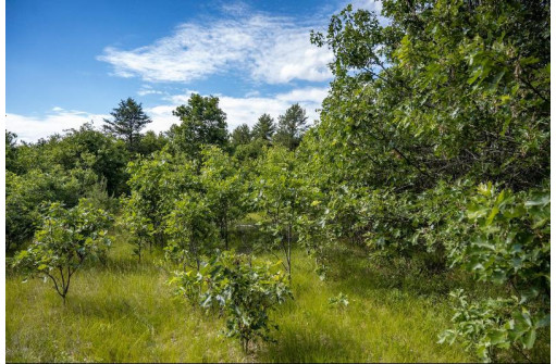 LOT 9 18th St, Necedah, WI 54646