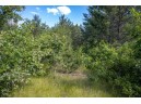 LOT 9 18th St, Necedah, WI 54646