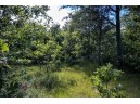 LOT 9 18th St, Necedah, WI 54646