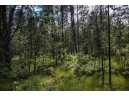 LOT 9 18th St, Necedah, WI 54646