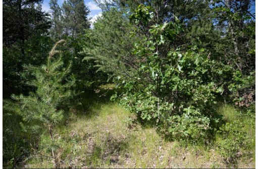 LOT 9 18th St, Necedah, WI 54646