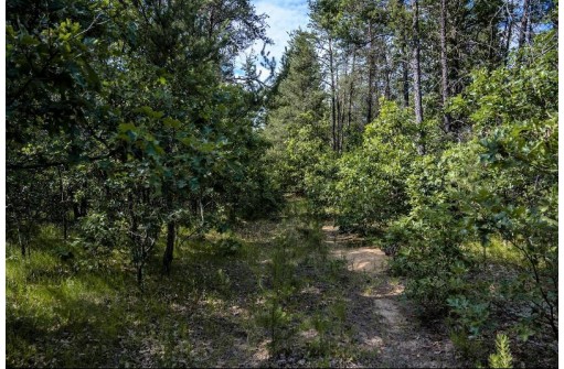 LOT 9 18th St, Necedah, WI 54646