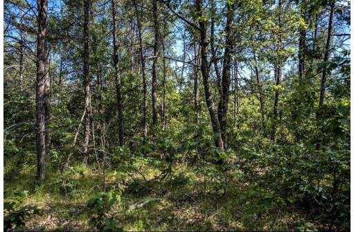 LOT 9 18th St, Necedah, WI 54646