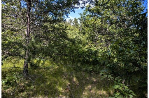 LOT 9 18th St, Necedah, WI 54646