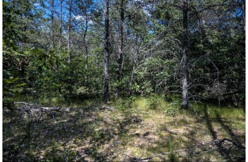 LOT 9 18th St, Necedah, WI 54646