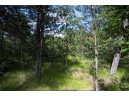 LOT 9 18th St, Necedah, WI 54646