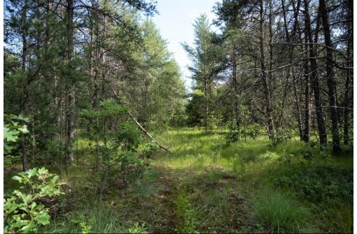 LOT 9 18th St, Necedah, WI 54646