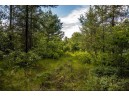 LOT 9 18th St, Necedah, WI 54646