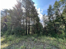 5.5 ACRES Browndeer Dr, Arkdale, WI 54613