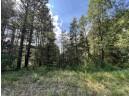 5.5 ACRES Browndeer Dr, Arkdale, WI 54613