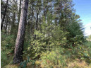 5.5 ACRES Browndeer Dr, Arkdale, WI 54613