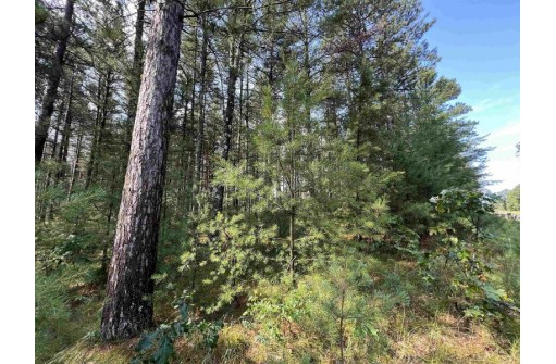 5.5 ACRES Browndeer Dr, Arkdale, WI 54613