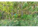 2 LOTS Grand View Shores, Nekoosa, WI 54457