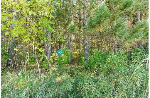 2 LOTS Grand View Shores, Nekoosa, WI 54457