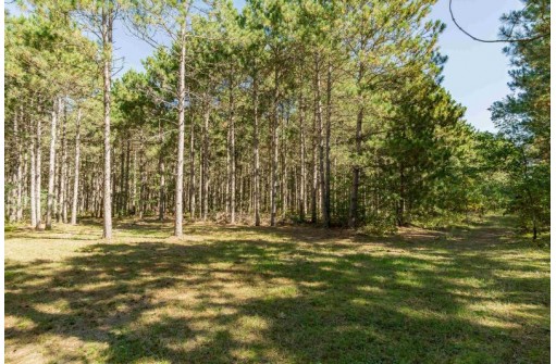 2 LOTS Grand View Shores, Nekoosa, WI 54457