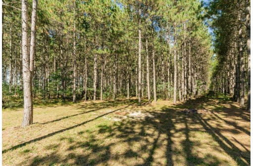 2 LOTS Grand View Shores, Nekoosa, WI 54457