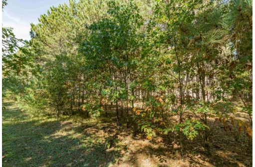 2 LOTS Grand View Shores, Nekoosa, WI 54457