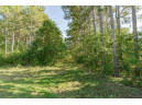 2 LOTS Grand View Shores, Nekoosa, WI 54457