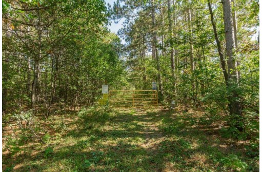 2 LOTS Grand View Shores, Nekoosa, WI 54457