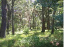 2.98 ACRES W 16th Ct, Arkdale, WI 54613