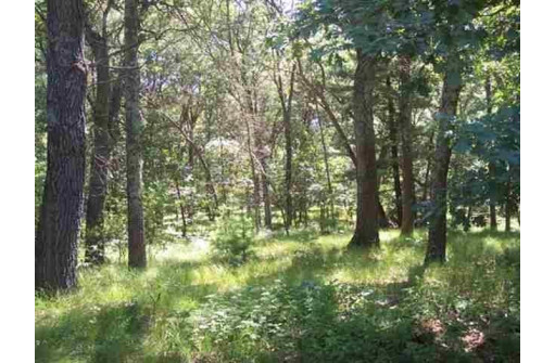 2.98 ACRES W 16th Ct, Arkdale, WI 54613