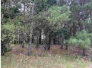2.98 ACRES W 16th Ct, Arkdale, WI 54613