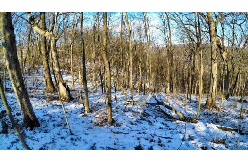 LOT River Forest, Seneca, WI 54654-0000