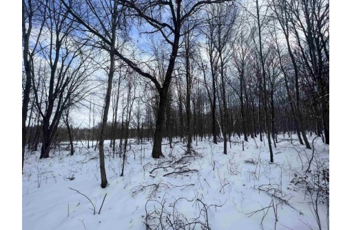 85 ACRES 22nd St, Necedah, WI 54646